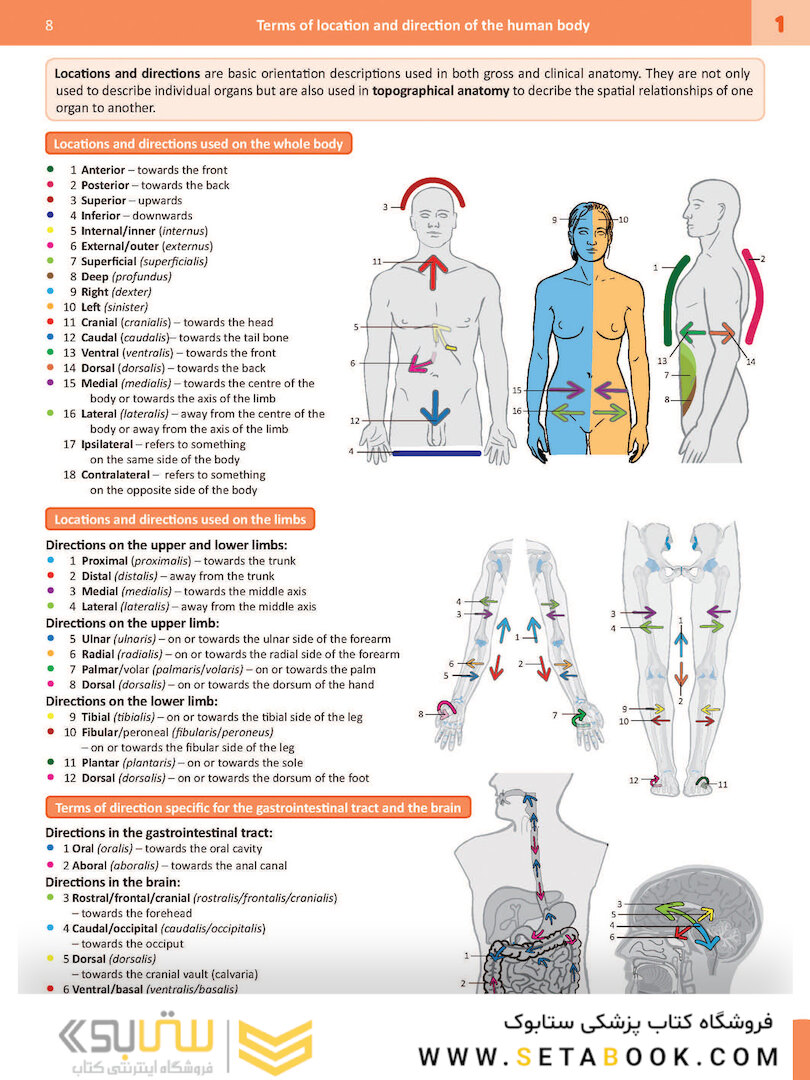 Memorix Anatomy 2016