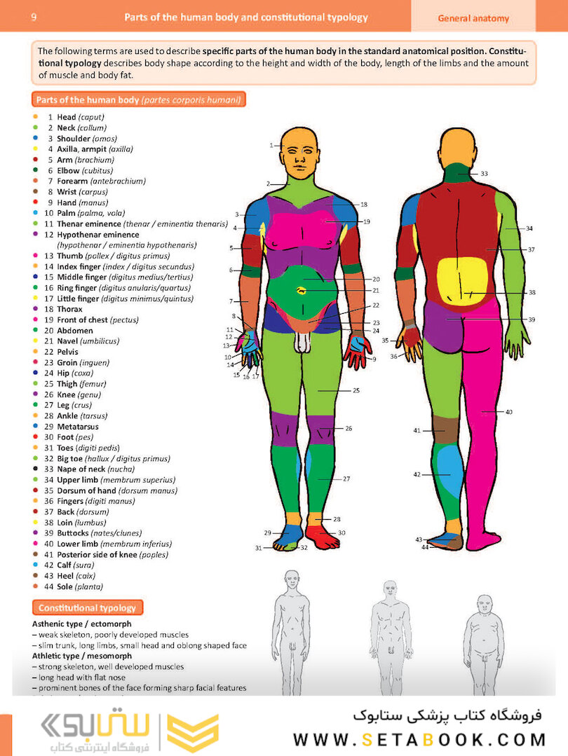Memorix Anatomy 2016
