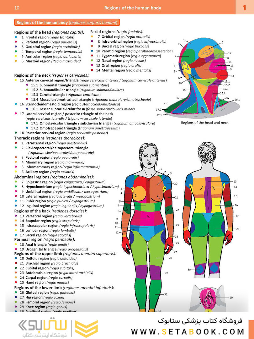 Memorix Anatomy 2016