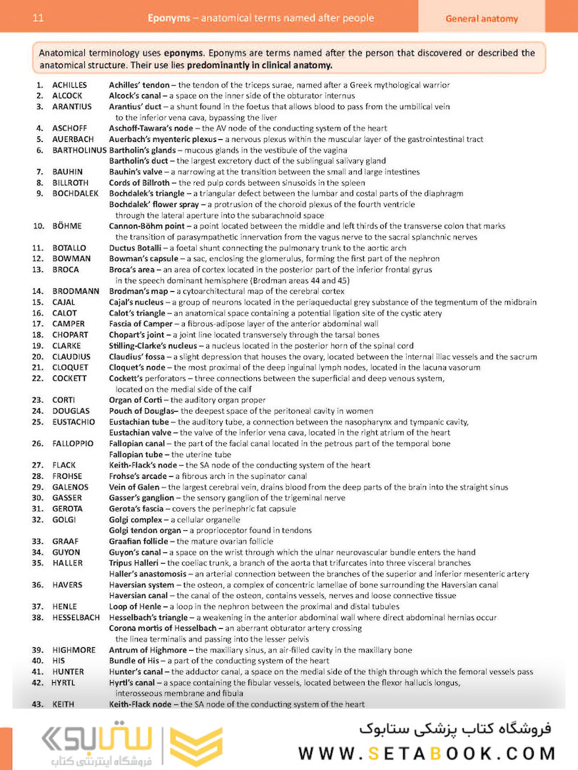 Memorix Anatomy 2016