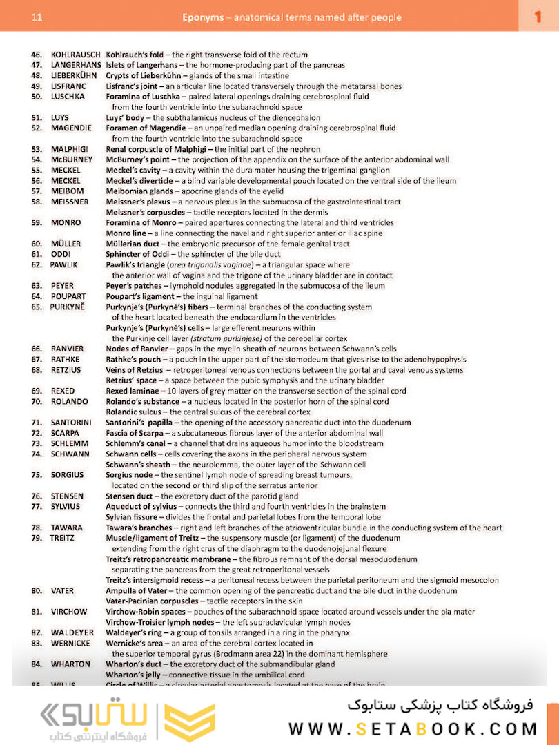 Memorix Anatomy 2016