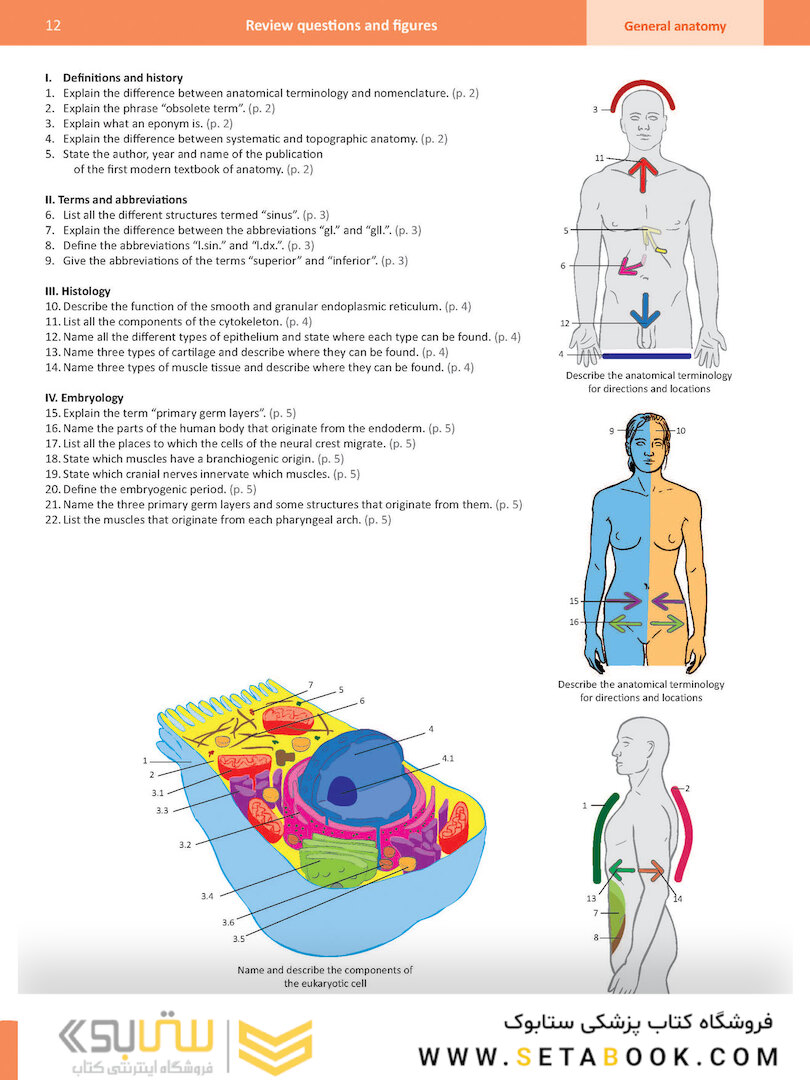 Memorix Anatomy 2016