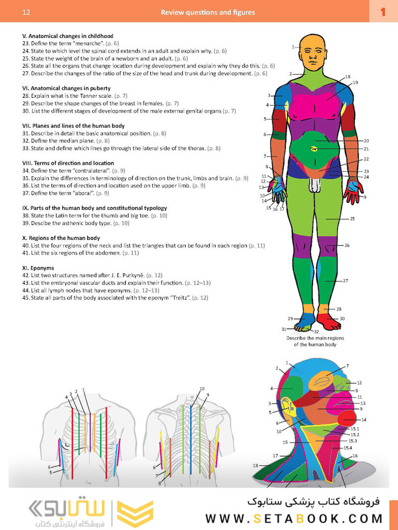 Memorix Anatomy 2016