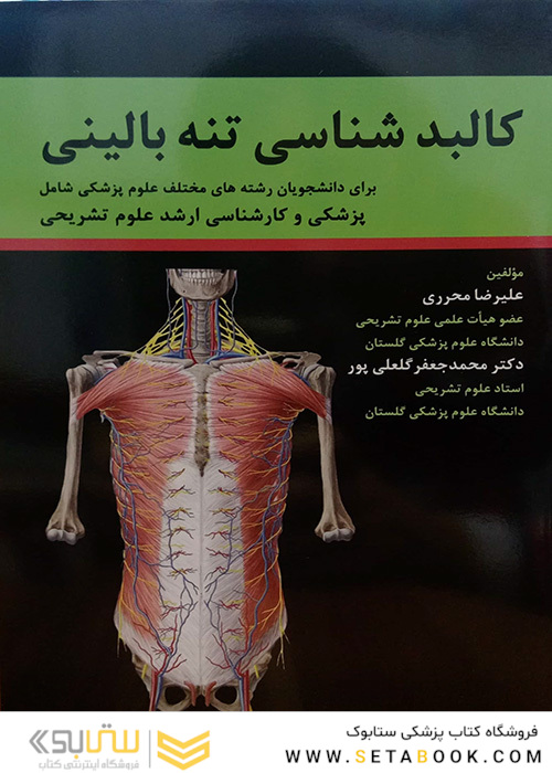 کالبدشناسی تنه بالینی