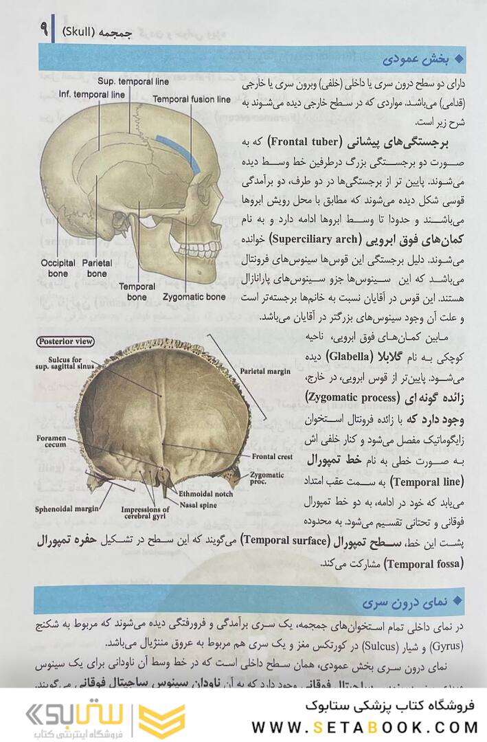 آناتومی سر و گردن و حواس ویژه