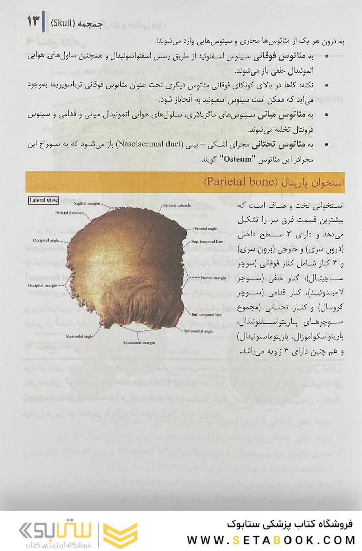 آناتومی سر و گردن و حواس ویژه