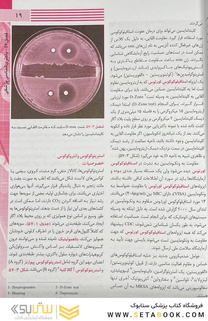 میکروب شناسی پزشکی هنری دیویسون 2022 (باکتری / ویروس / قارچ / انگل)