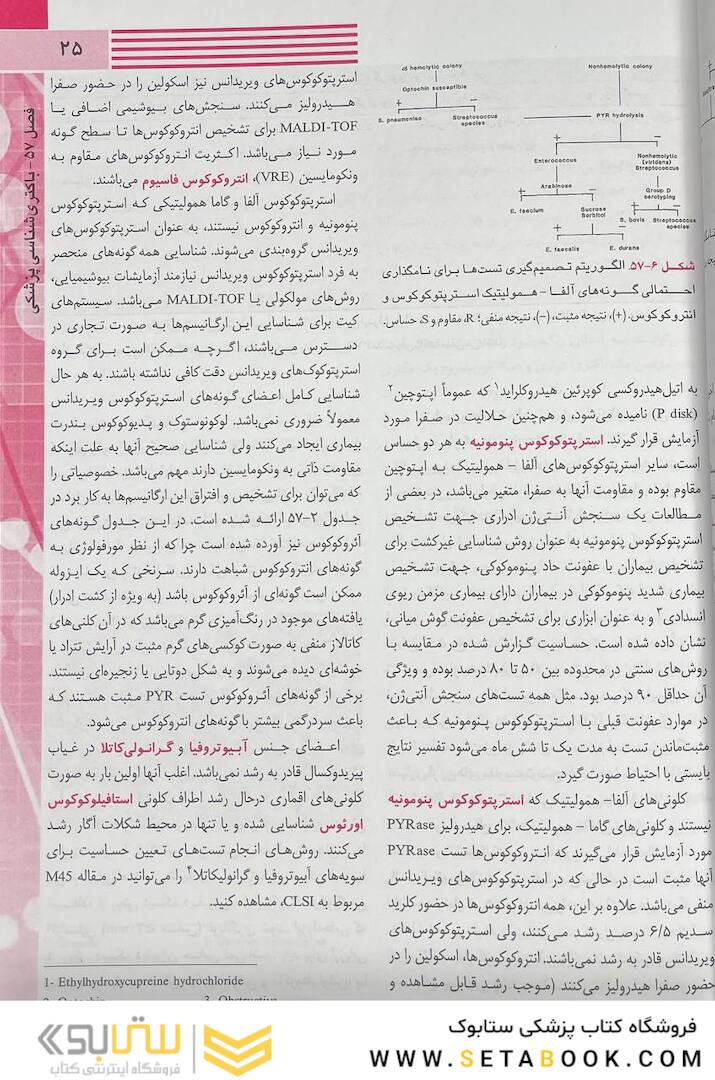 میکروب شناسی پزشکی هنری دیویسون 2022 (باکتری / ویروس / قارچ / انگل)