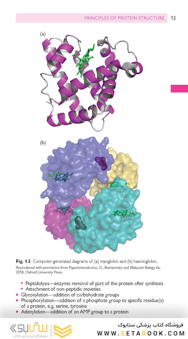 Oxford Handbook of Medical Sciences (Oxford Medical Handbooks) 3rd Edicion 2021