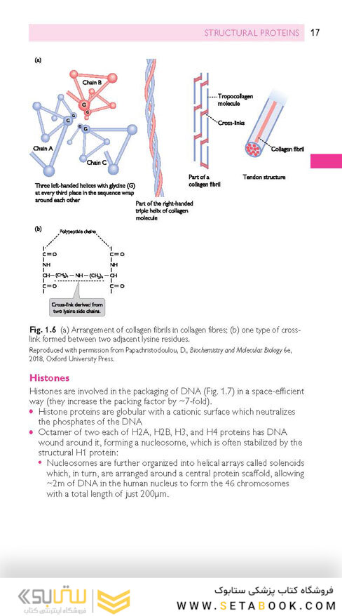 Oxford Handbook of Medical Sciences (Oxford Medical Handbooks) 3rd Edicion 2021