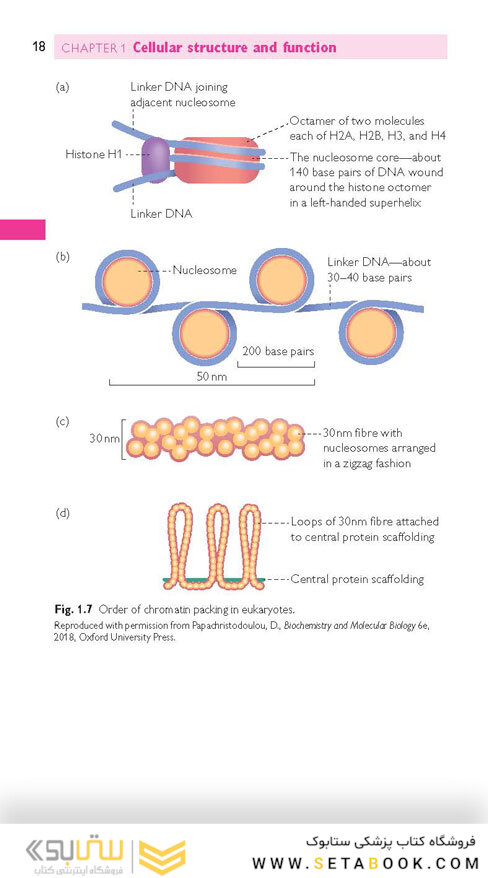 Oxford Handbook of Medical Sciences (Oxford Medical Handbooks) 3rd Edicion 2021