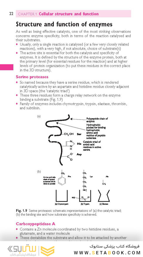 Oxford Handbook of Medical Sciences (Oxford Medical Handbooks) 3rd Edicion 2021