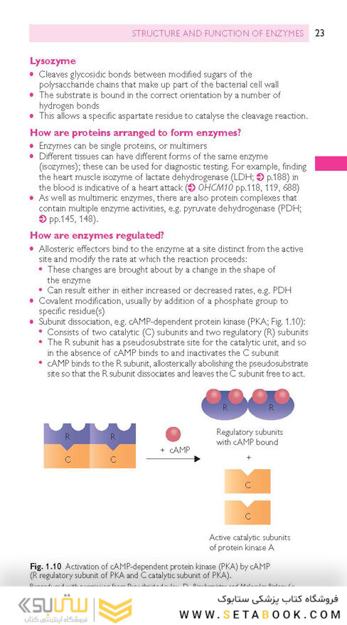 Oxford Handbook of Medical Sciences (Oxford Medical Handbooks) 3rd Edicion 2021