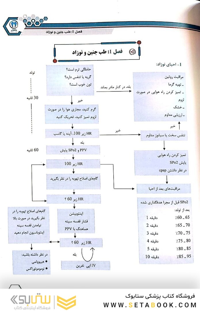 سناریو های شیرین کودکان میانبری بر اسنشیال نلسون 2023(جلد اول )