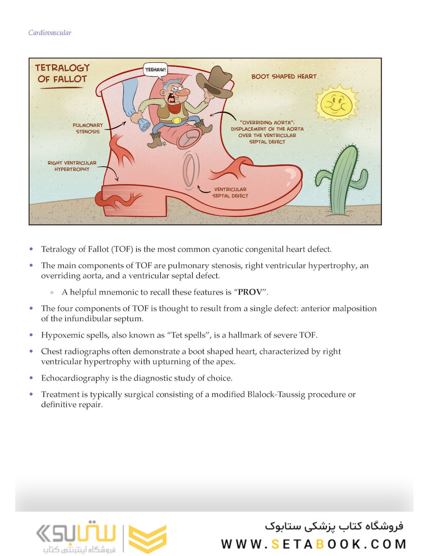Medcomic: The Most Entertaining Way to Study Medicine, Third Edition 3rd Edición