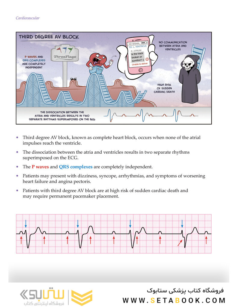 Medcomic: The Most Entertaining Way to Study Medicine, Third Edition 3rd Edición