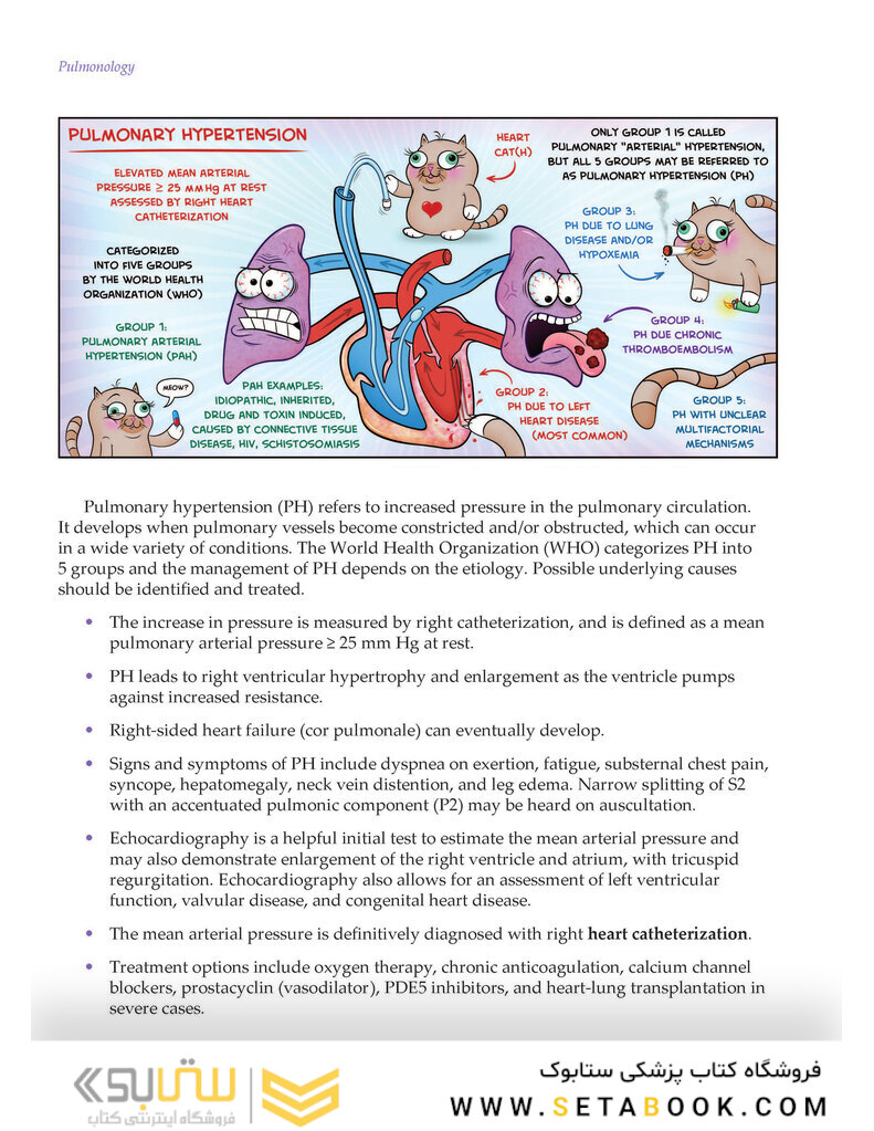 Medcomic: The Most Entertaining Way to Study Medicine, Third Edition 3rd Edición