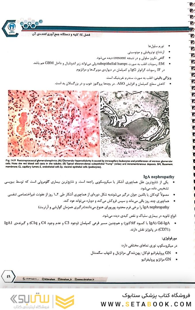 درسنامه طلایی پاتولوژی دو جلدی