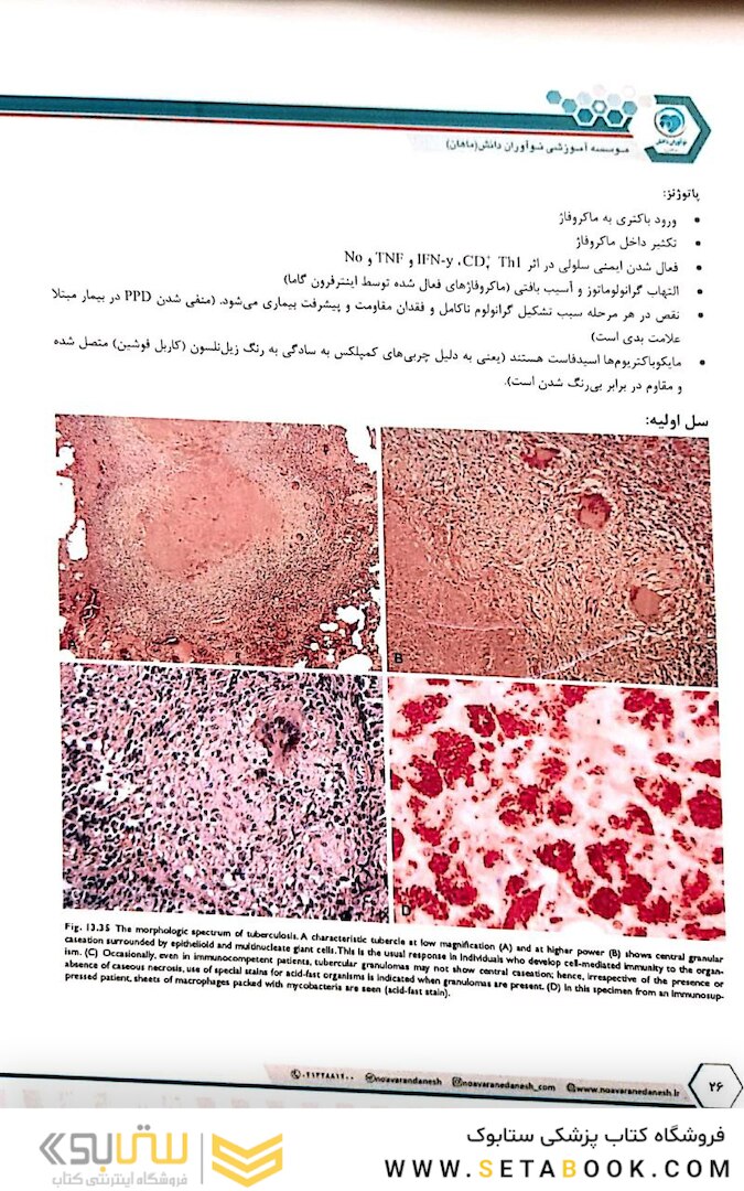 درسنامه طلایی پاتولوژی دو جلدی