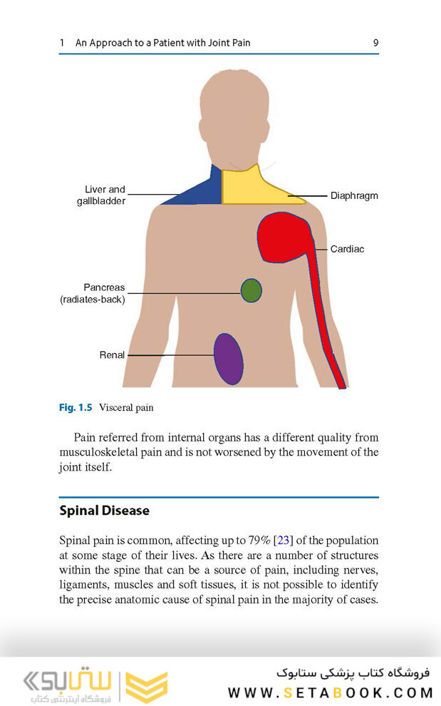 Rheumatology for Primary Care Providers : A Clinical Casebook
