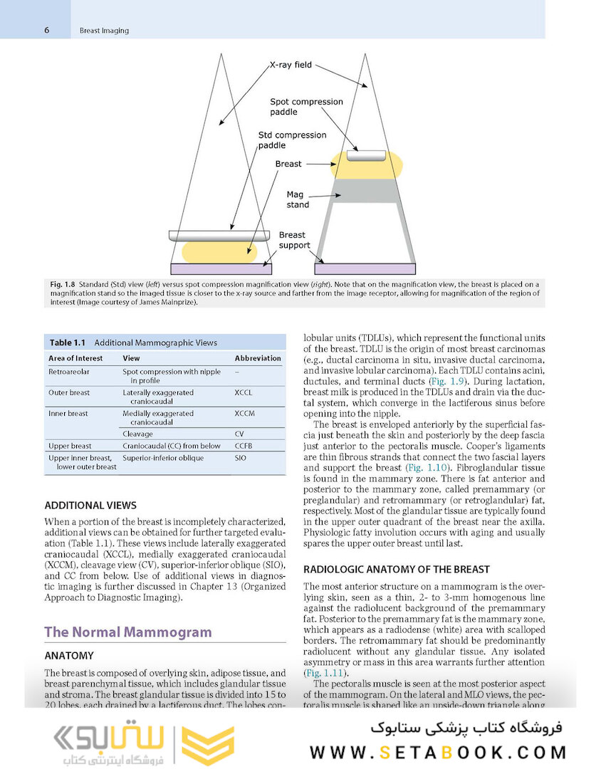 Breast Imaging : The Core Requisites 4th Edition
