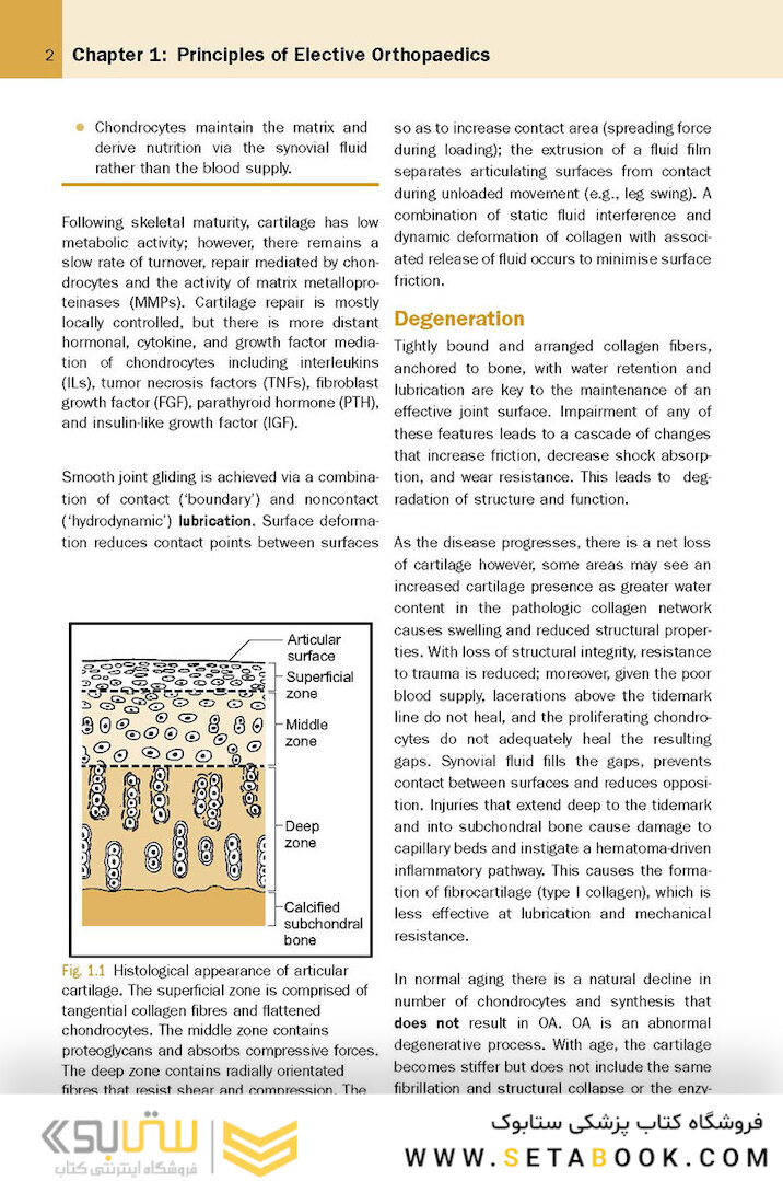 McRae’s Elective Orthopaedics 7th Edicion
