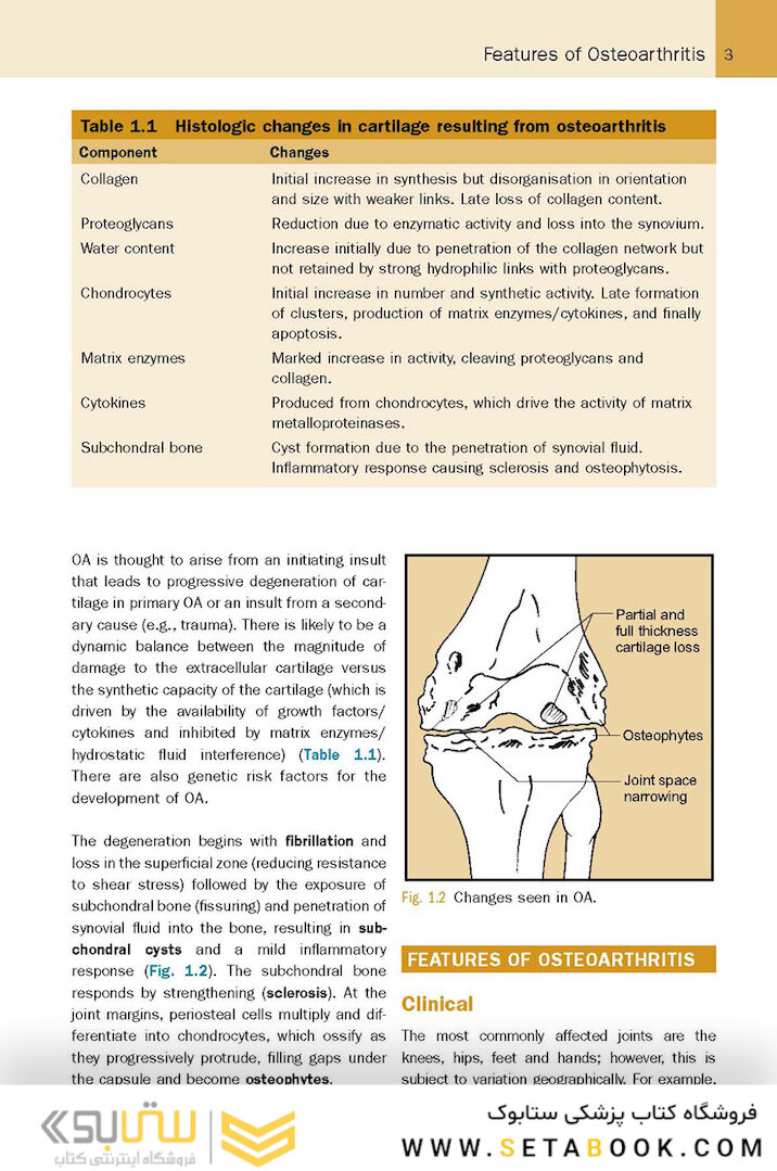 McRae’s Elective Orthopaedics 7th Edicion