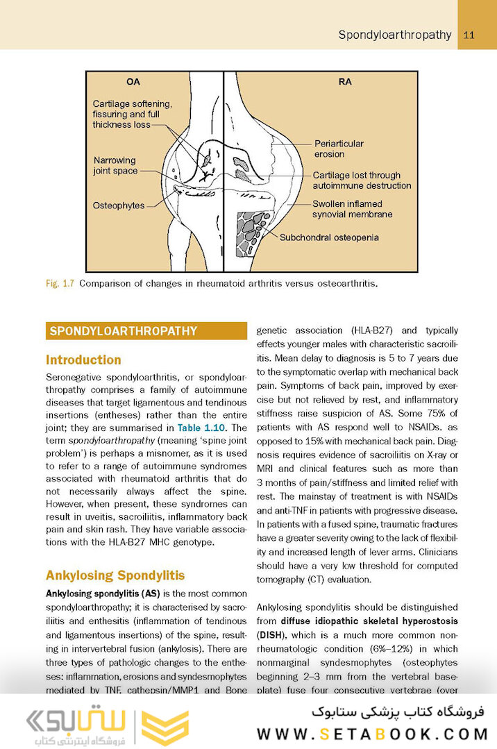 McRae’s Elective Orthopaedics 7th Edicion