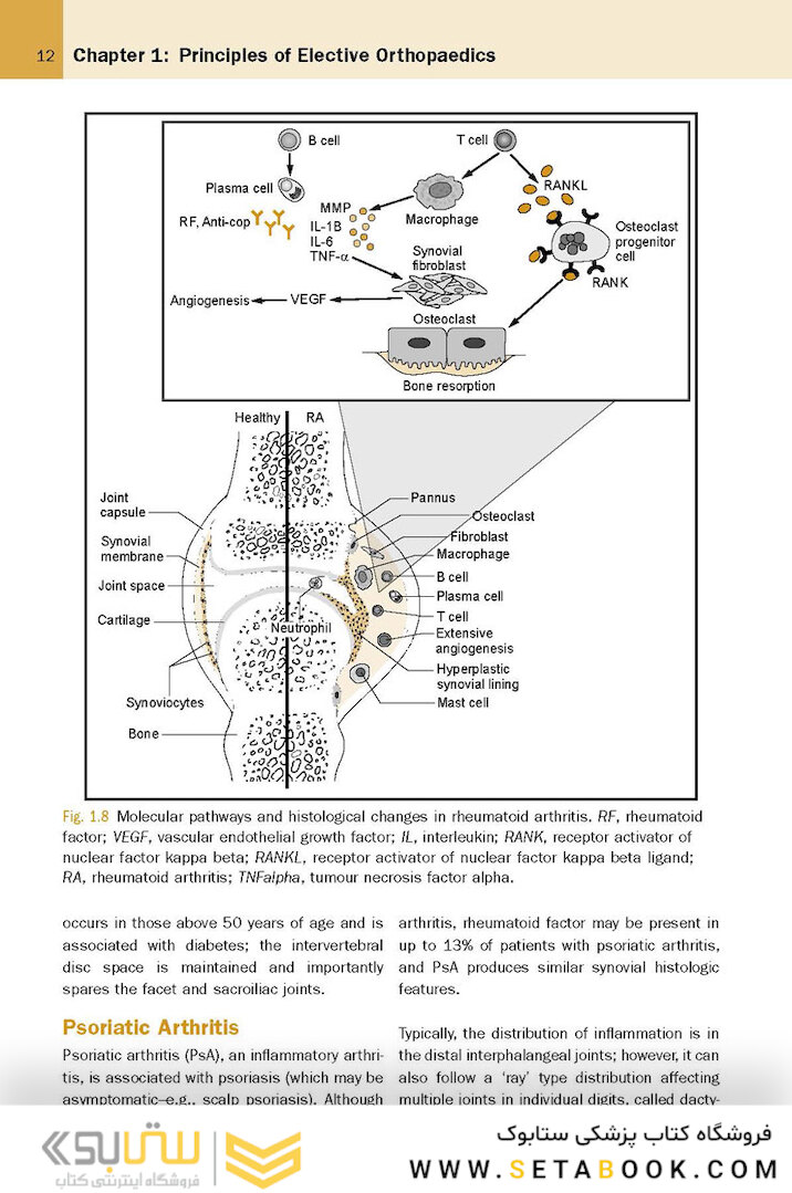 McRae’s Elective Orthopaedics 7th Edicion
