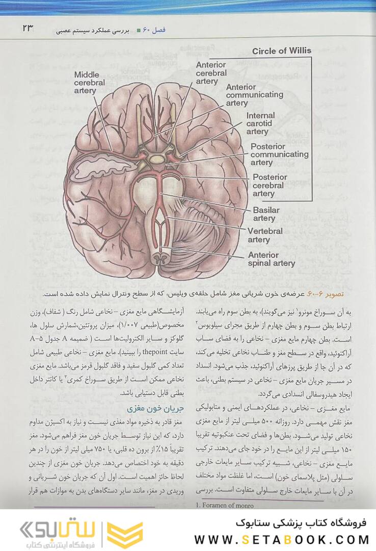 پرستاری داخلی جراحی برونر و سودارث 2022 سیستم عصبی جلد 15