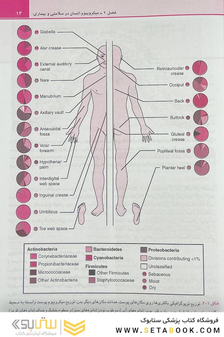 QR مرجع سریع و خلاصه میکروب شناسی پزشکی مورای 2021