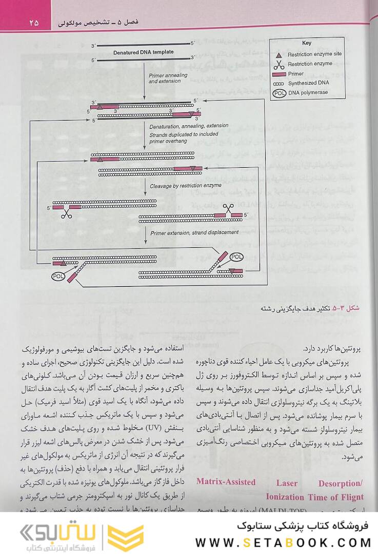 QR مرجع سریع و خلاصه میکروب شناسی پزشکی مورای 2021