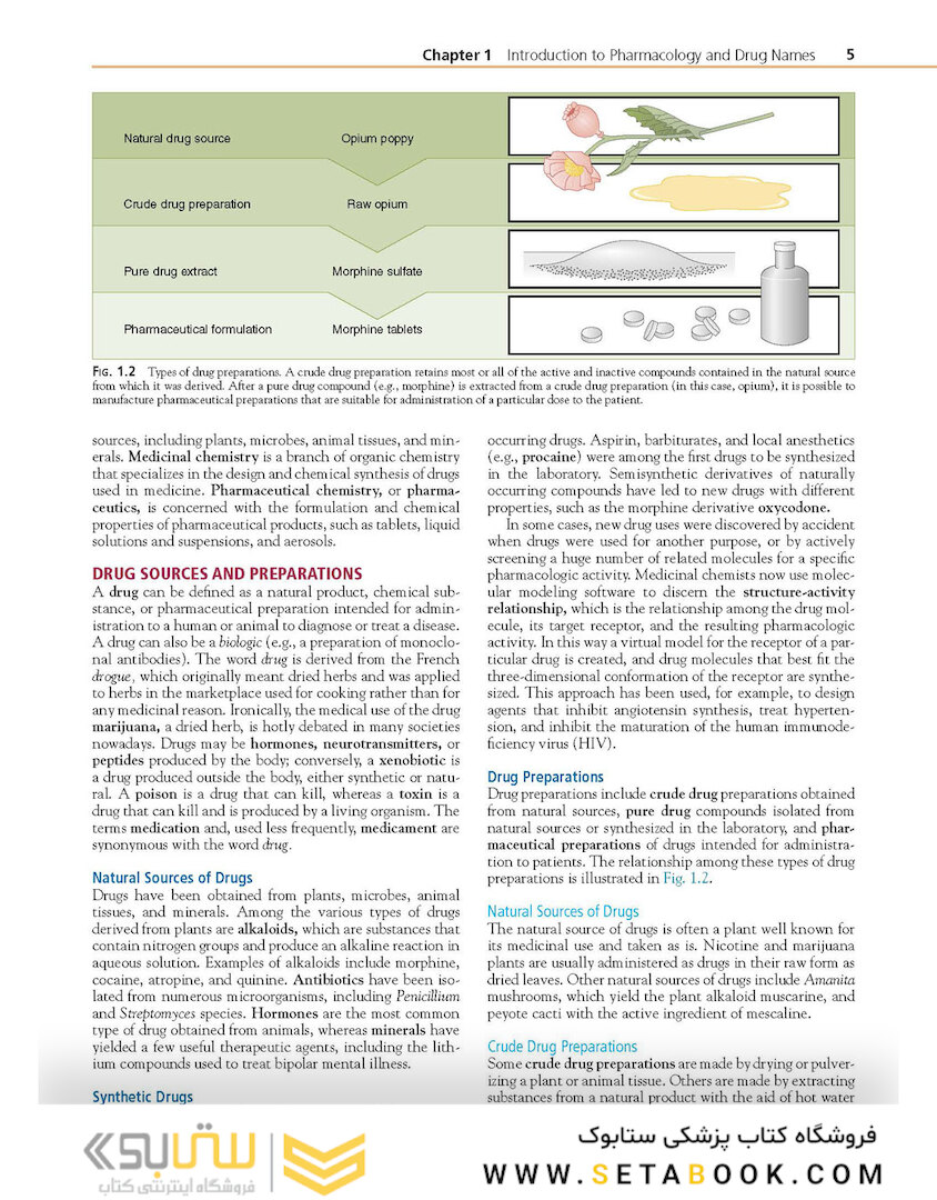 Brenner and Stevens’ Pharmacology 6th Edition