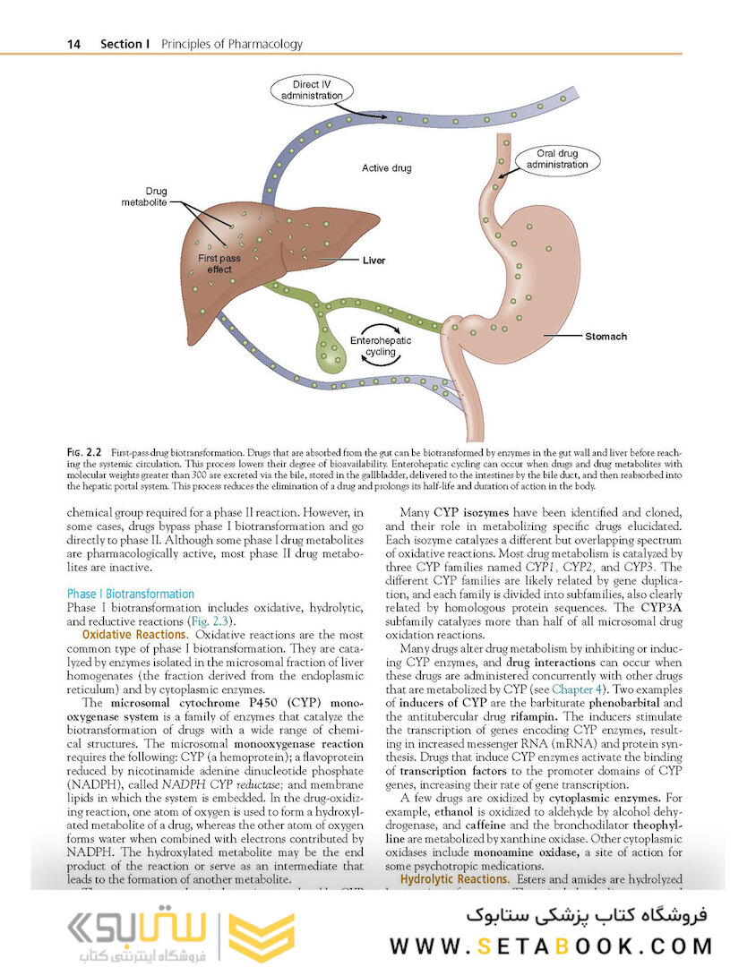 Brenner and Stevens’ Pharmacology 6th Edition