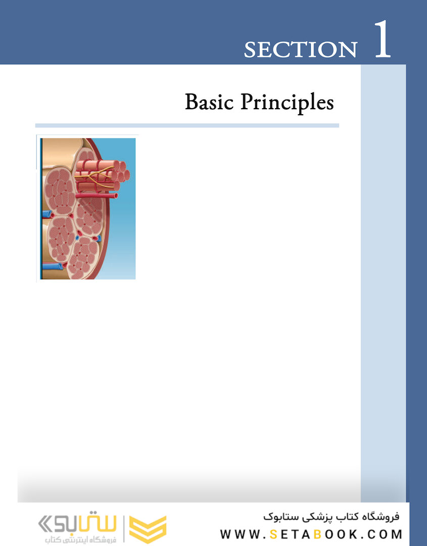 DeLee, Drez and Miller