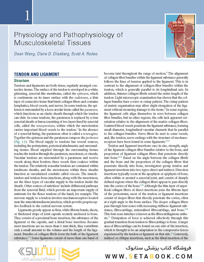 DeLee, Drez and Miller