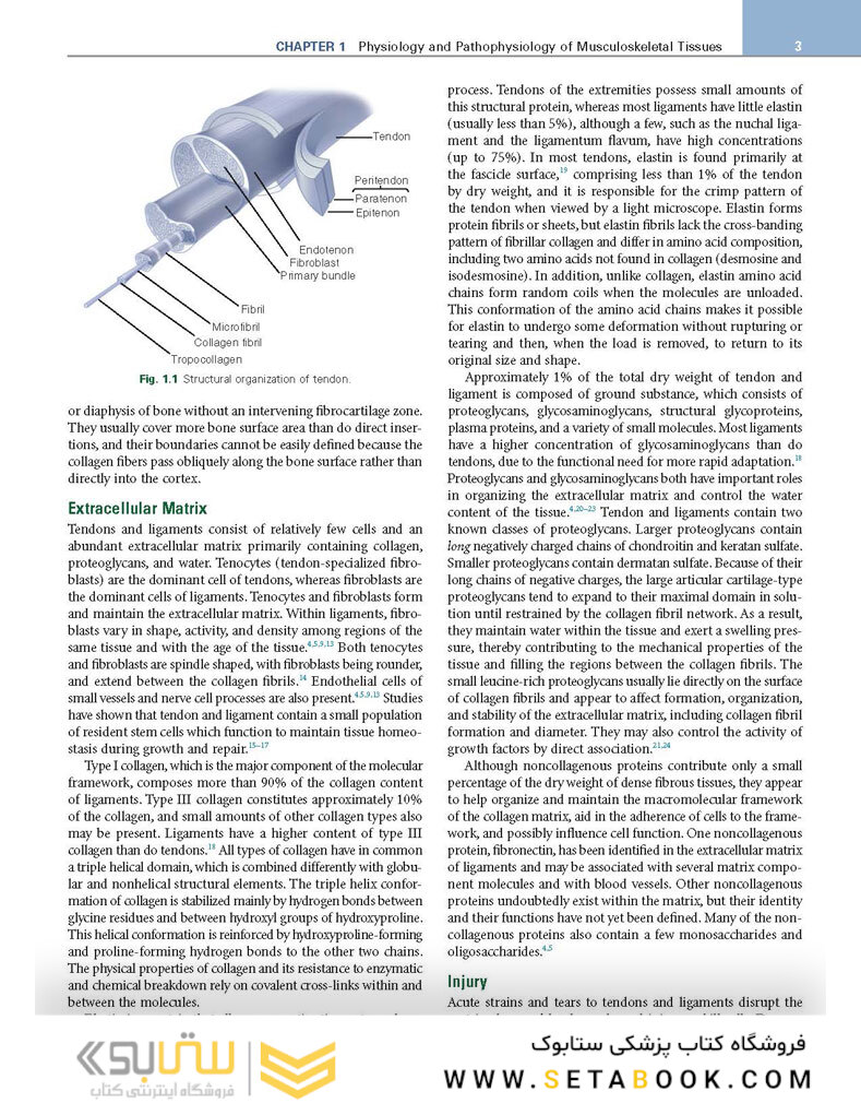 DeLee, Drez and Miller