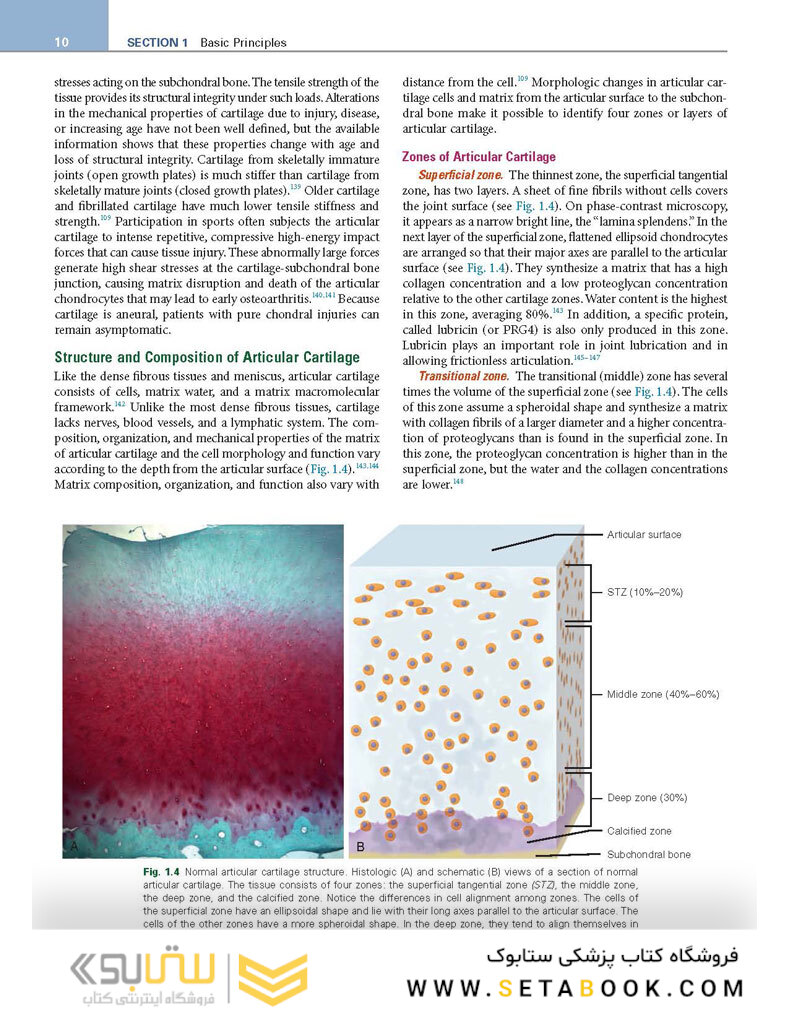 DeLee, Drez and Miller