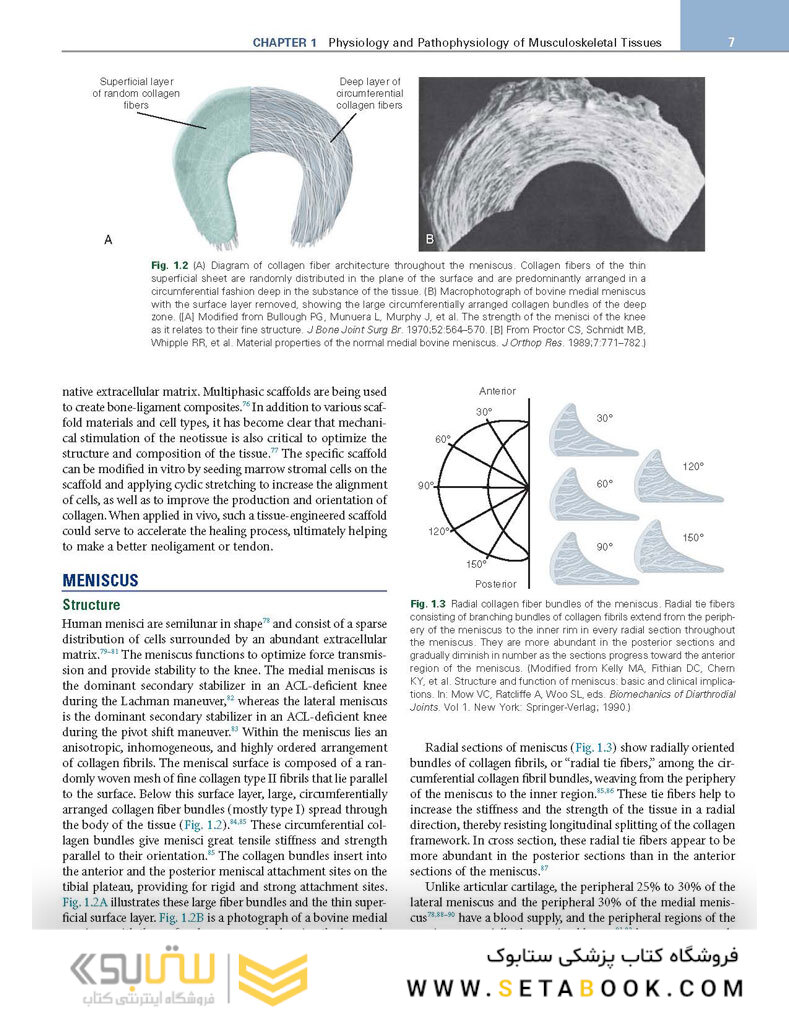 DeLee, Drez and Miller