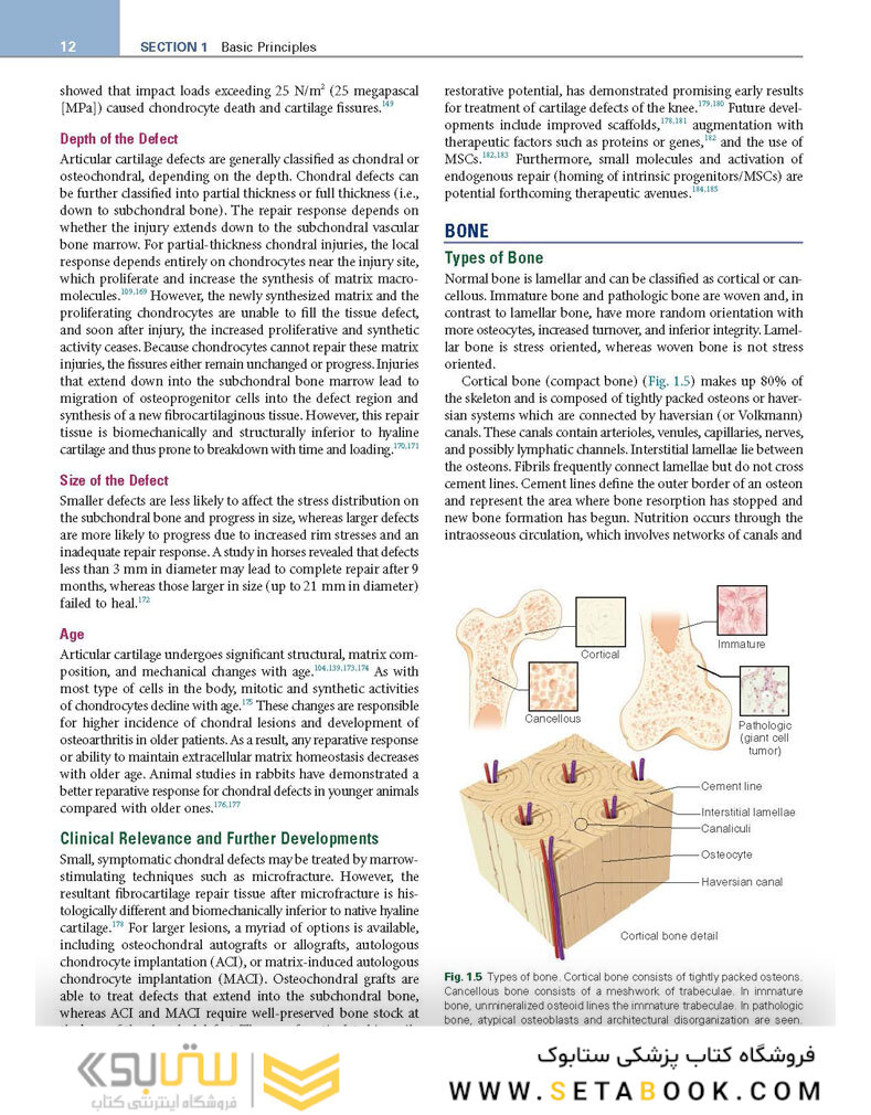 DeLee, Drez and Miller