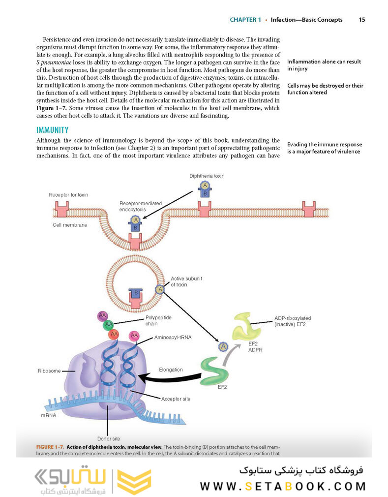 Ryan - Sherris Medical Microbiology, 8th Edicion 2022