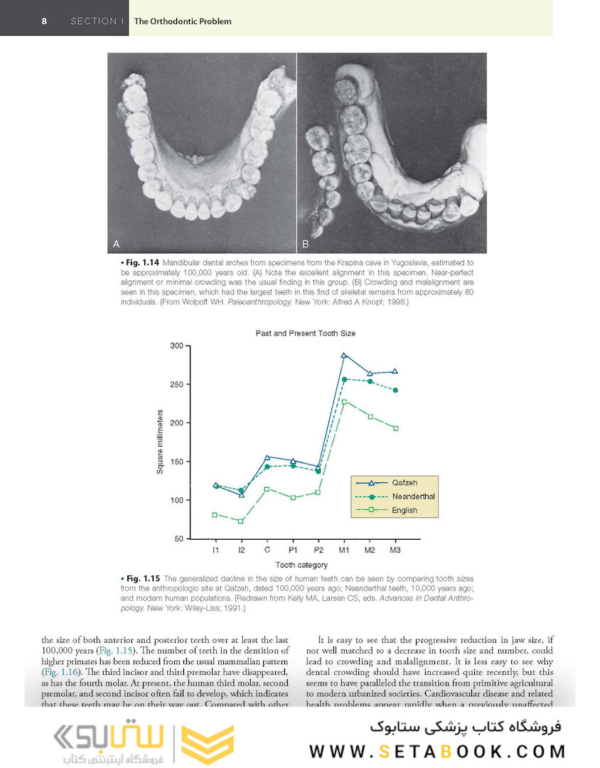 Contemporary Orthodontics 6th Edition 2019