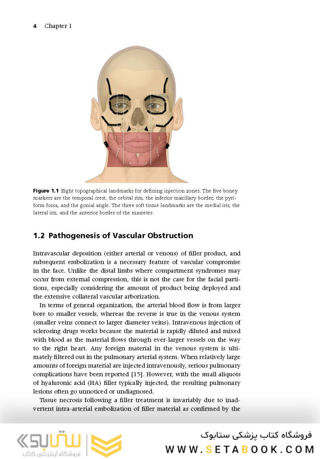 Injectable Fillers: Facial Shaping and Contouring 2nd Edition2019