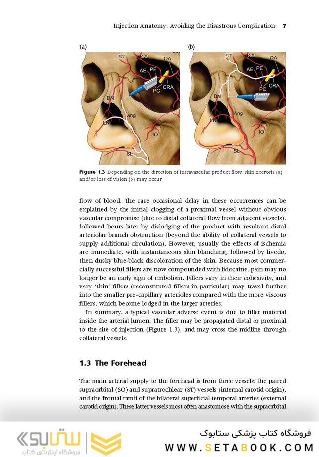 Injectable Fillers: Facial Shaping and Contouring 2nd Edition2019