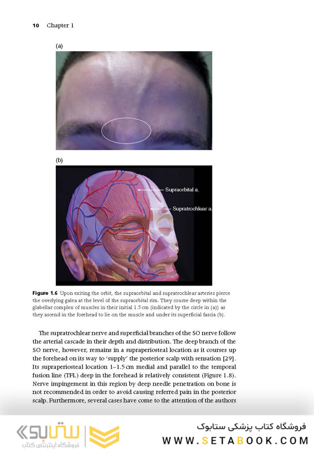 Injectable Fillers: Facial Shaping and Contouring 2nd Edition2019