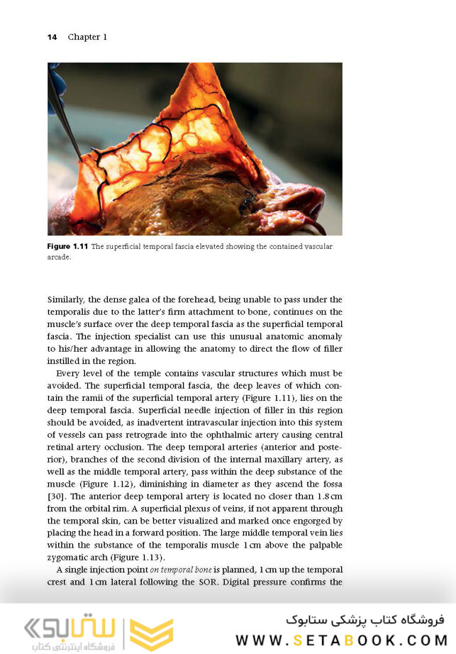 Injectable Fillers: Facial Shaping and Contouring 2nd Edition2019