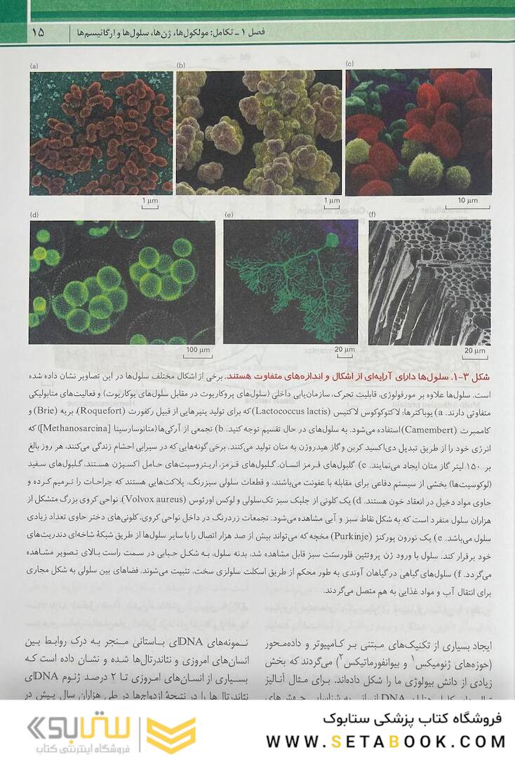 زیست شناسی سلولی مولکولی لودیش 2021 جلد 1