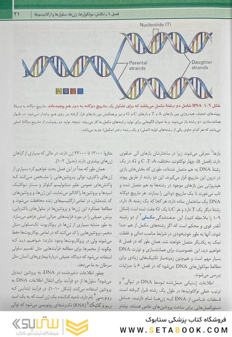 زیست شناسی سلولی مولکولی لودیش 2021 جلد 1