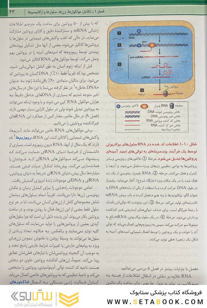 زیست شناسی سلولی مولکولی لودیش 2021 جلد 1