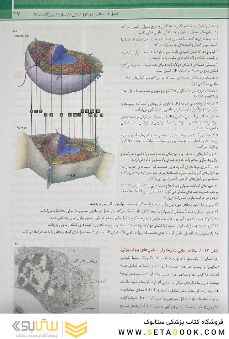 زیست شناسی سلولی مولکولی لودیش 2021 جلد 1